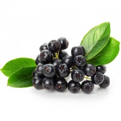 Alternative view of АРОНИЈА