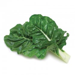 Alternative view of БЛИТВА