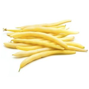 БОРАНИЈА ПУТЕРИЦА