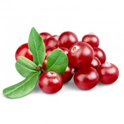 Alternative view of БРУСНИЦА