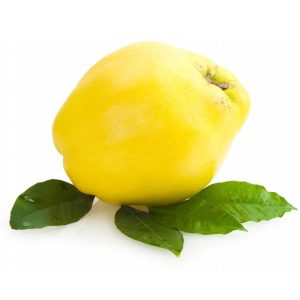 ДУЊА УВОЗНА