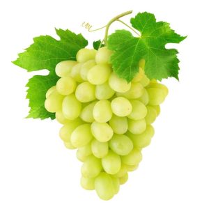 ГРОЖЂЕ БЕЛО УВОЗНО