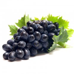 Alternative view of ГРОЖЂЕ ЦРНО