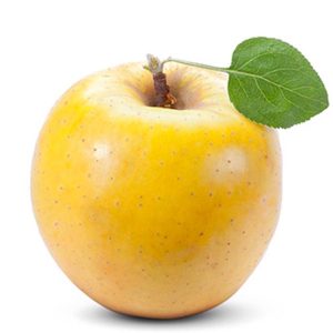 ЈАБУКА ДЕЛИШЕС ЗЛАТНИ