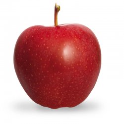 Alternative view of ЈАБУКА ГЛОСТЕР