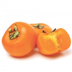 Alternative view of ЈАБУКА ЈАПАНСКА