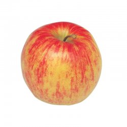 Alternative view of ЈАБУКА ЈОНАГОЛД