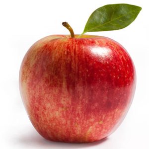 ЈАБУКА ЛЕТНЈА