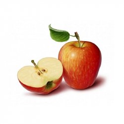 Alternative view of ЈАБУКА МЕРЛОЗ