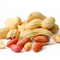 Alternative view of КИКИРИКИ