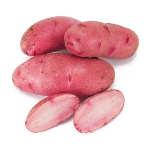 КРОМПИР РОЗЕ