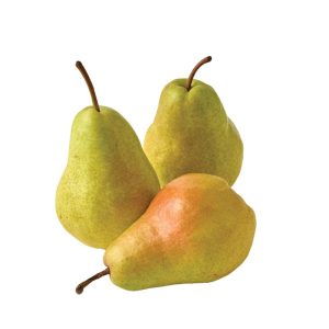 КРУШКА МЛАДА