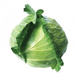 Alternative view of КУПУС МЛАДИ