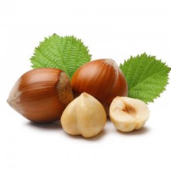 Alternative view of ЛЕШНИК