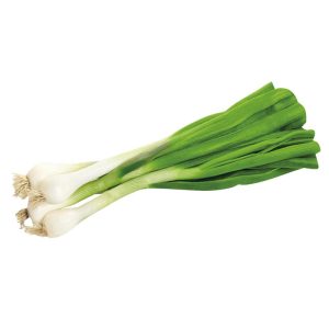 ЛУК МЛАДИ БЕЛИ