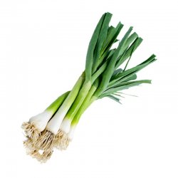 Alternative view of ЛУК МЛАДИ ЦРНИ УВОЗНИ