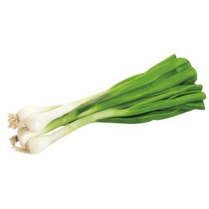 ЛУК МЛАДИ СРЕБРЕЊАК