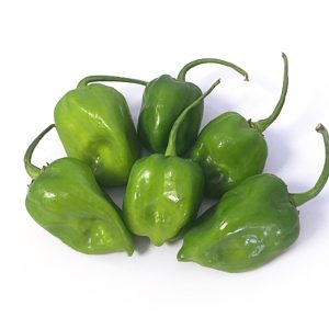 ПАПРИКА НЕДОЗРЕЛА