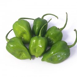 Alternative view of ПАПРИКА НЕДОЗРЕЛА