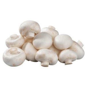 ПЕЧУРКЕ ШАМПИЊОНИ