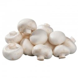 Alternative view of ПЕЧУРКЕ ШАМПИЊОНИ