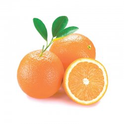 Alternative view of ПОМОРАНЏА УВОЗНА