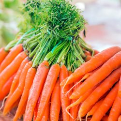 Alternative view of ШАРГАРЕПА ВЕЗА