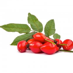 Alternative view of ШИПУРАК