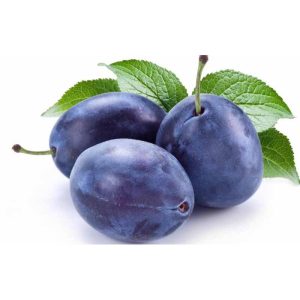 ШЉИВА УВОЗНА