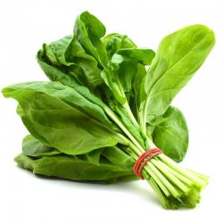 Alternative view of СПАНАЋ УВОЗНИ