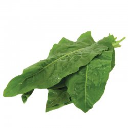 Alternative view of ЗЕЉЕ