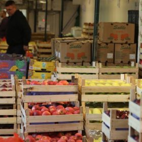 Током празника на Велетржници већа потражња за сувим воћем, актуелни су цитруси а стигле и мушмуле